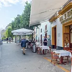 Alohamundi Santa Maria